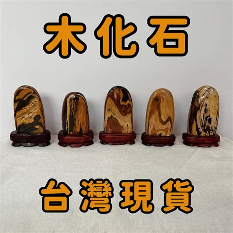 木化玉功效|樹化玉是什麼？探索化石界的寶石藝術品 